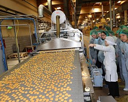 Выездное практическое занятие для студентов 4-го курса КубГАУ им. И. Т. Трубилина. 